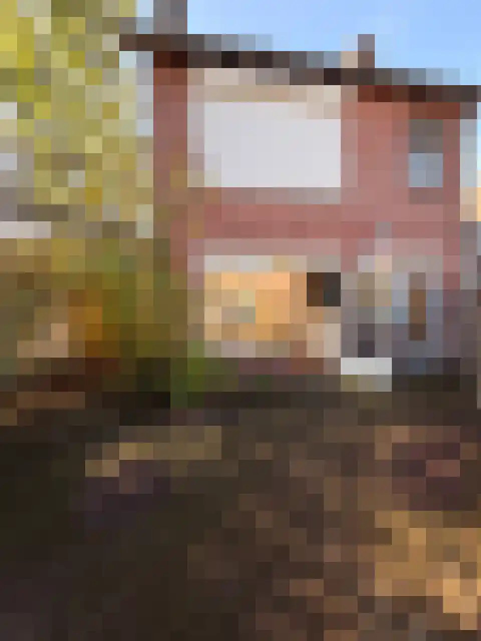 Groenstraat 121 Tilburg thumbnail 13