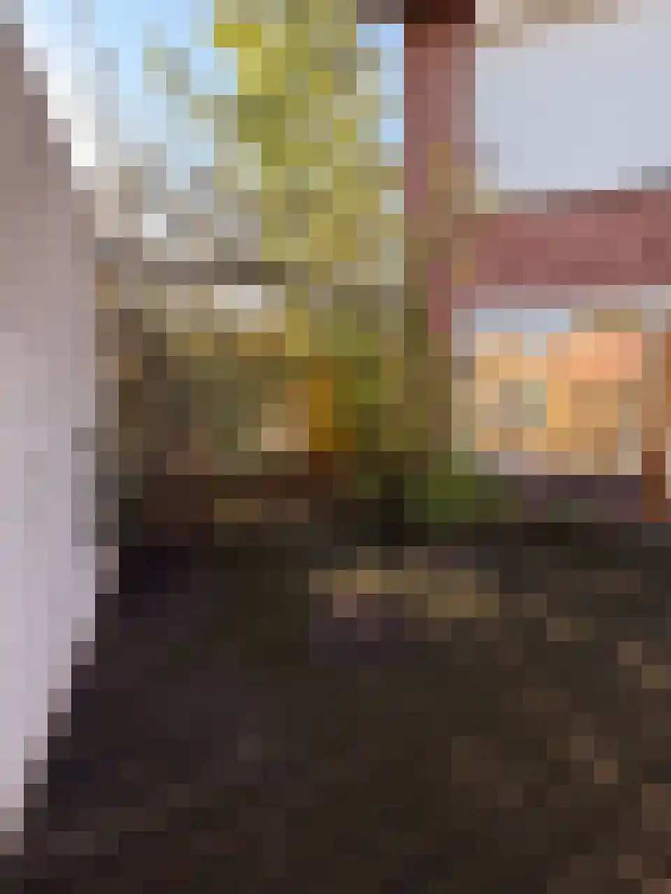 Groenstraat 121 Tilburg thumbnail 14