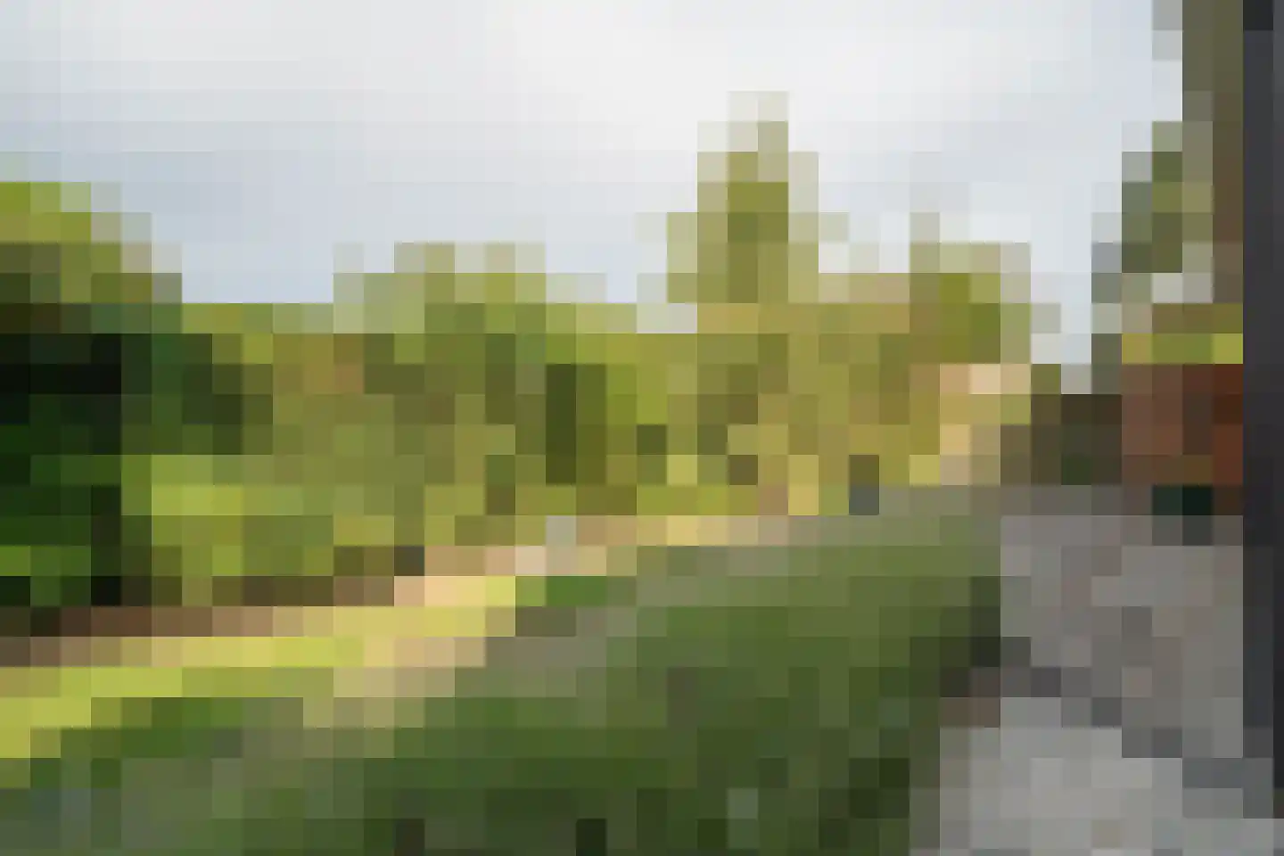 Groenstraat 13 Belfeld thumbnail 25