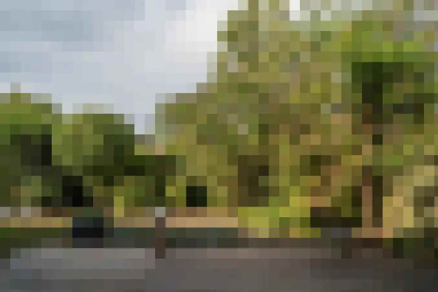 Groenstraat 13 Belfeld thumbnail 32