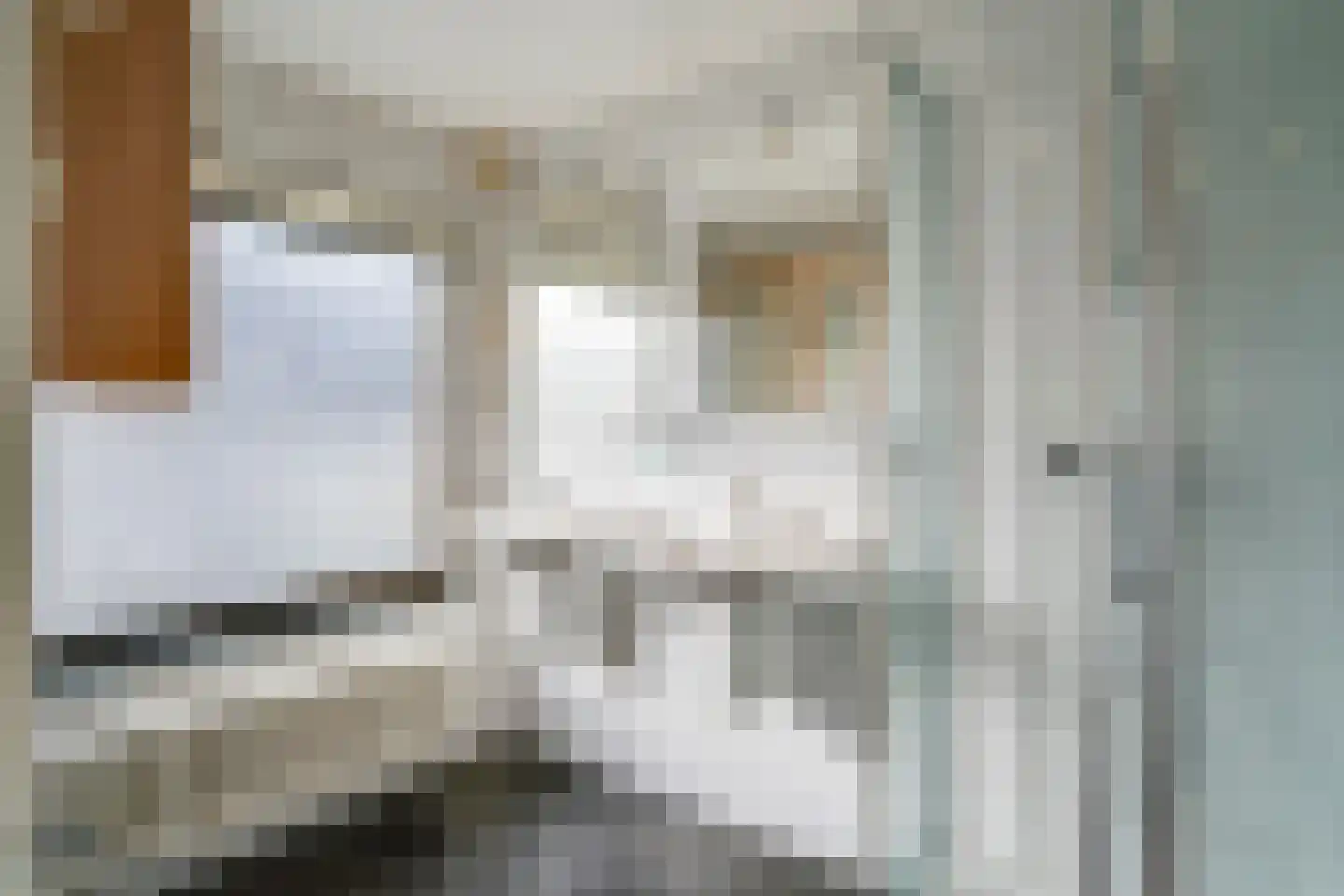 Groenstraat 13 Belfeld thumbnail 37