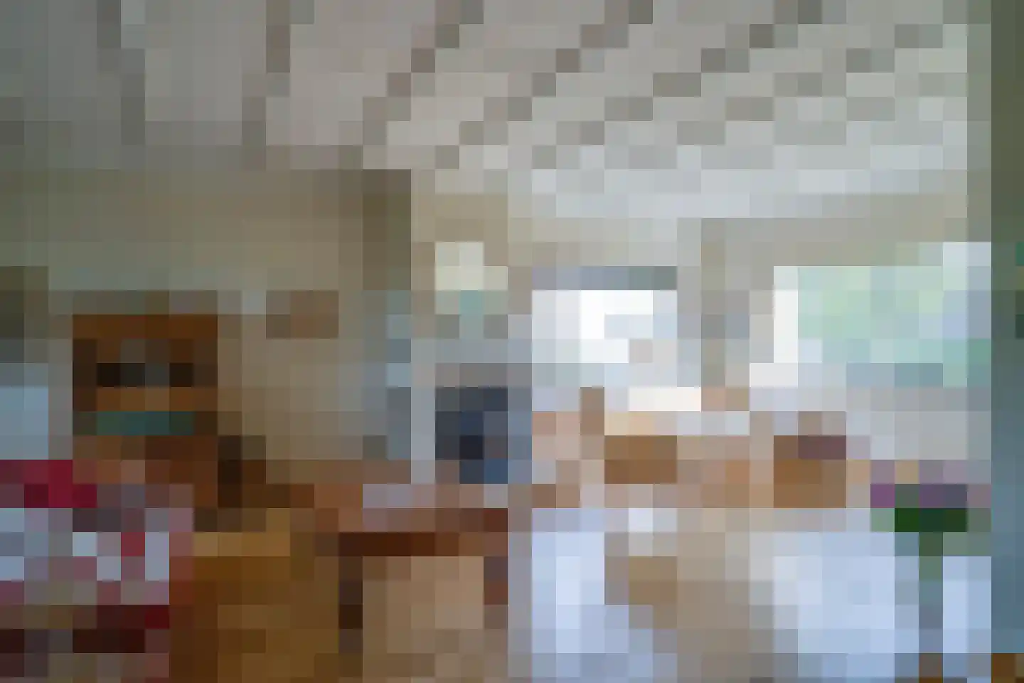 Groenstraat 13 Belfeld thumbnail 9