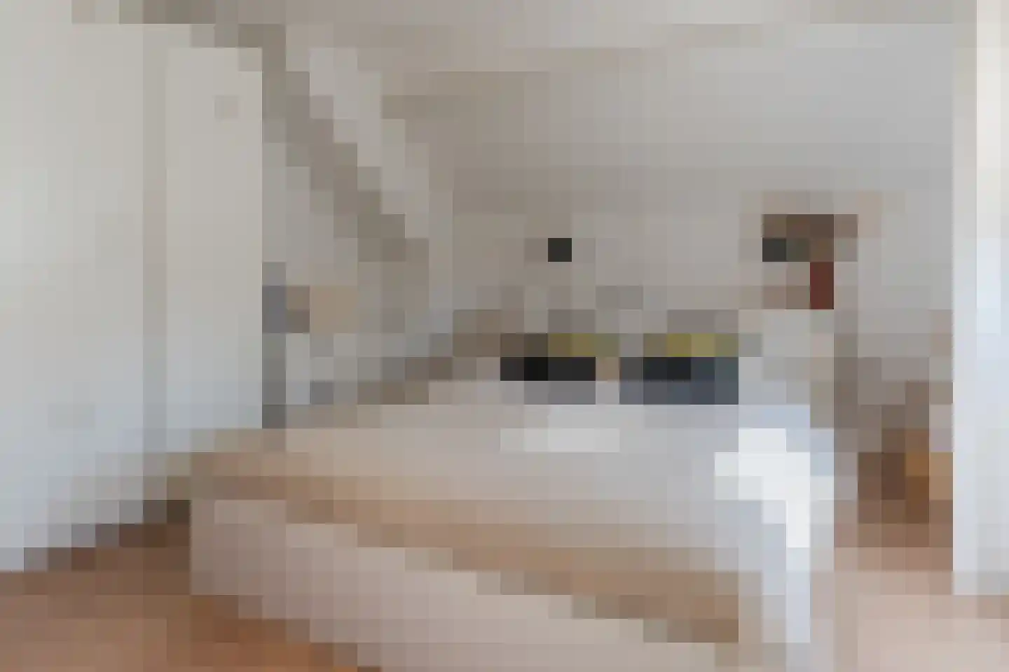 Groenstraat 13 Valkenswaard thumbnail 31