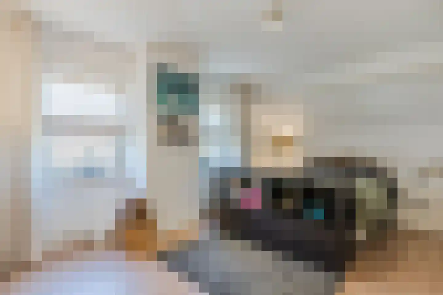 Groenstraat 13 Valkenswaard thumbnail 33