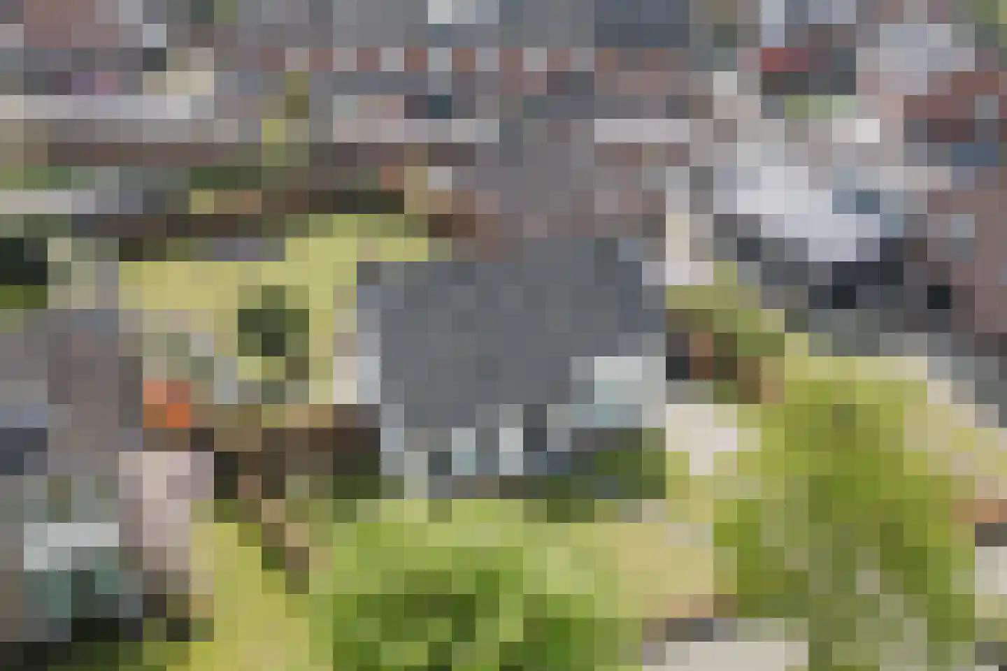 Groenstraat 13 Valkenswaard thumbnail 53