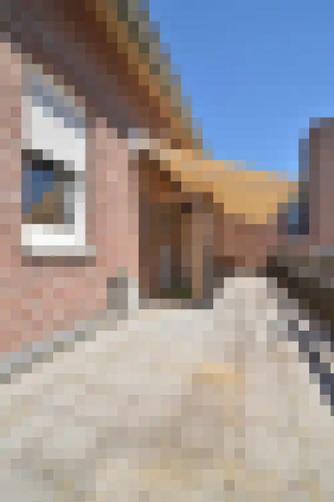 Groenstraat 130 Landgraaf thumbnail 11