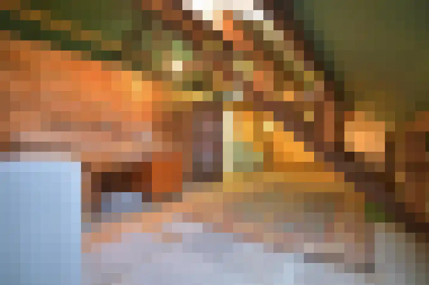 Groenstraat 130 Landgraaf thumbnail 29