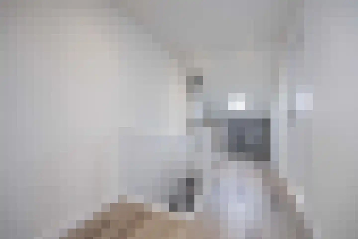 Groenstraat 135 Tilburg thumbnail 23