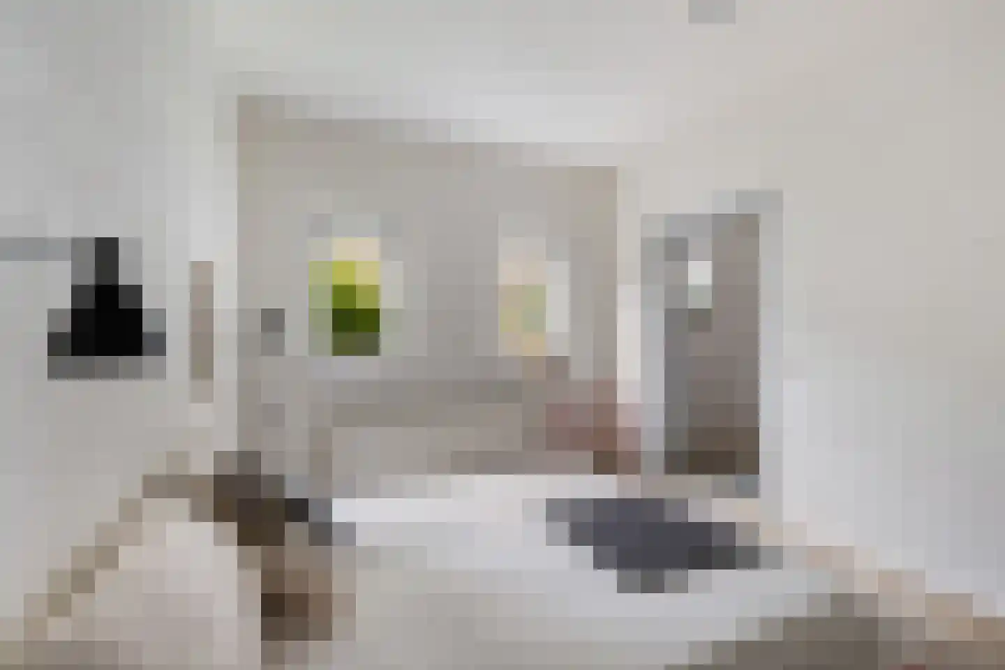 Groenstraat 138 Tilburg thumbnail 16