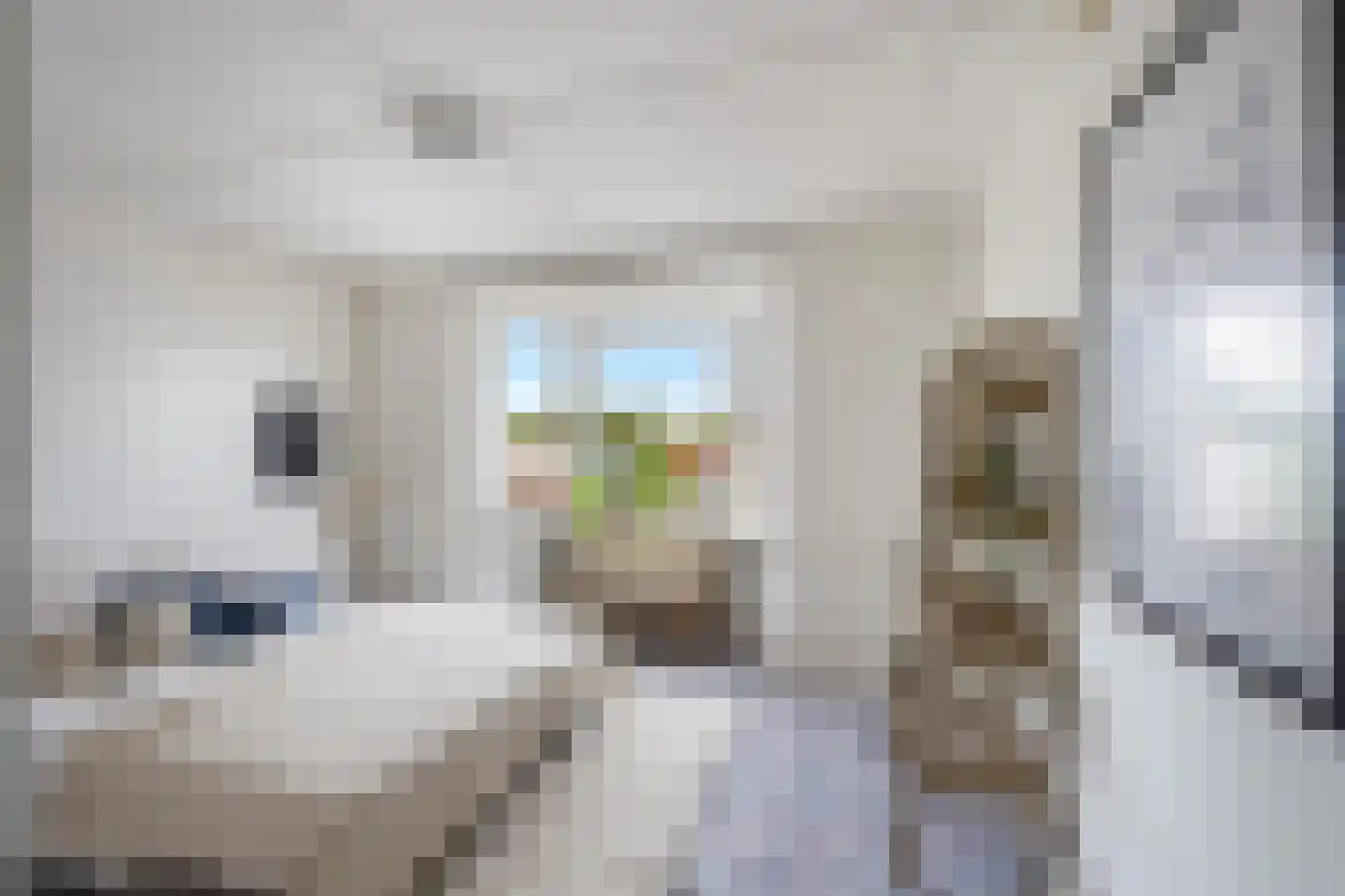 Groenstraat 138 Tilburg thumbnail 22