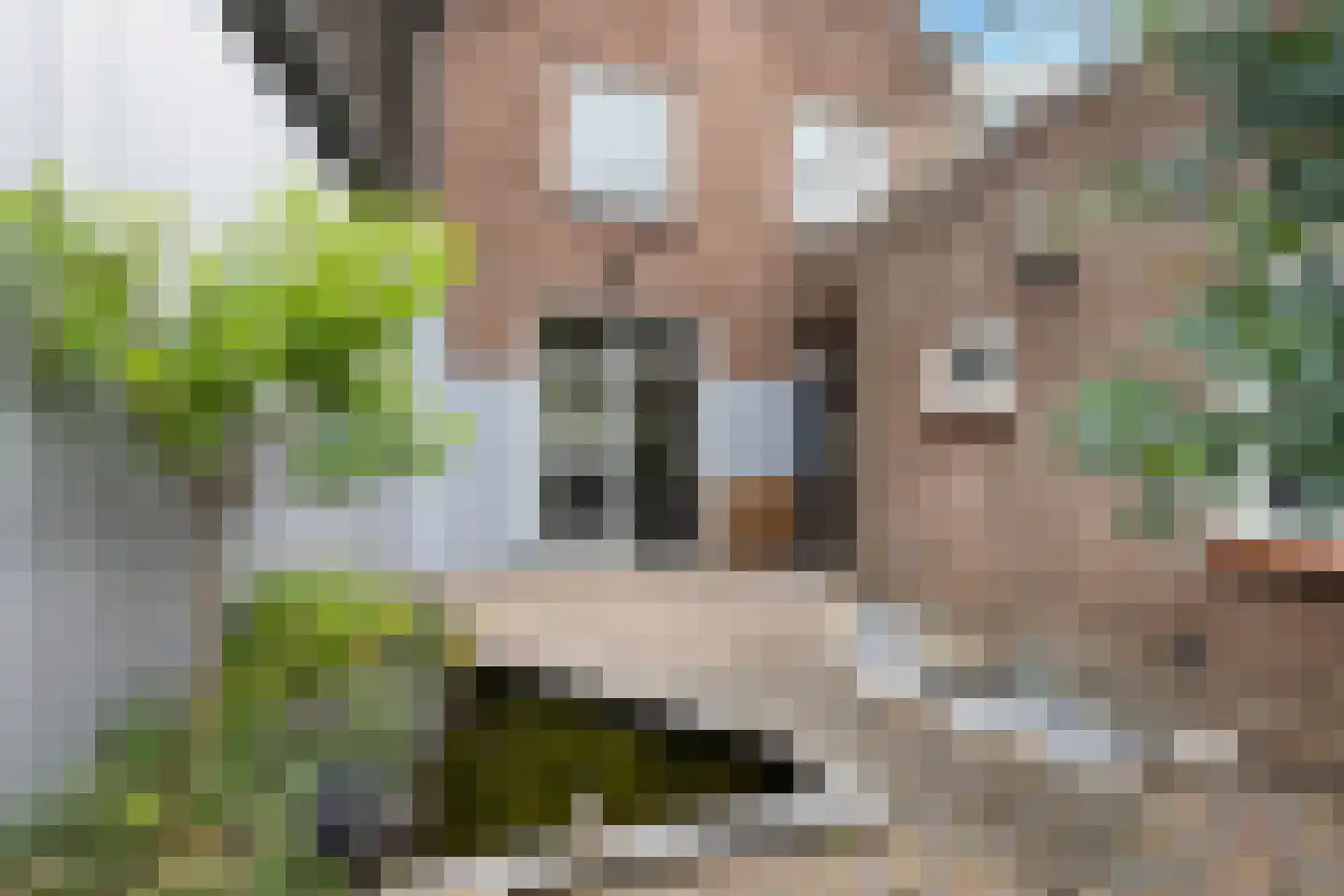 Groenstraat 138 Tilburg thumbnail 37