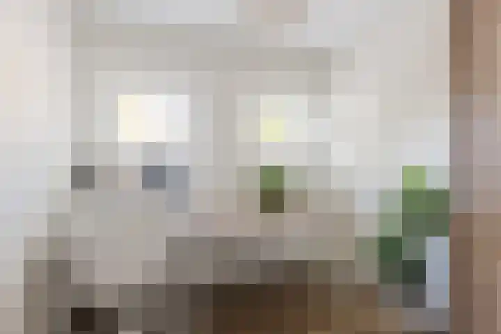 Groenstraat 14 B Dongen thumbnail 13