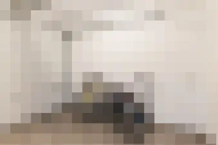 Groenstraat 14 B Dongen thumbnail 16