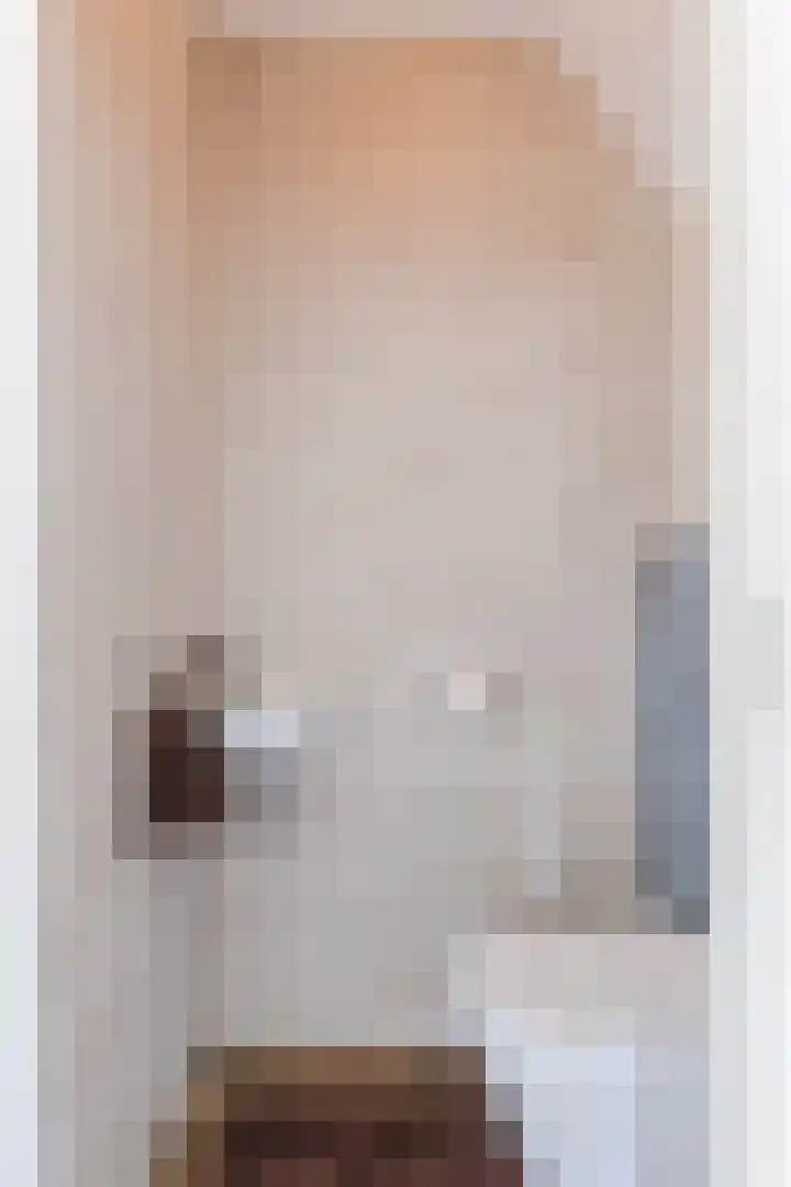Groenstraat 14 B Dongen thumbnail 17