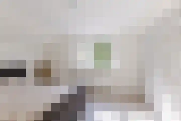 Groenstraat 14 B Dongen thumbnail 19
