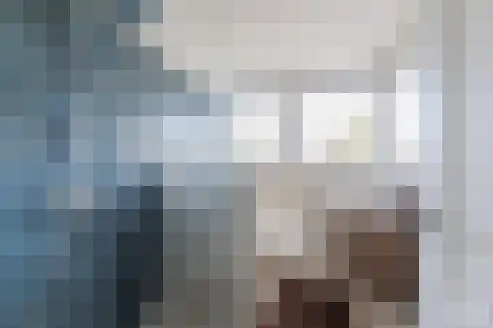 Groenstraat 14 B Dongen thumbnail 4