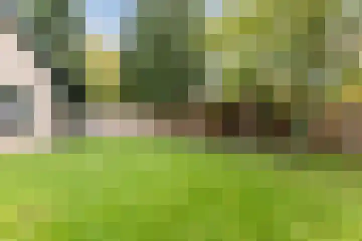 Groenstraat 14 B Dongen thumbnail 6