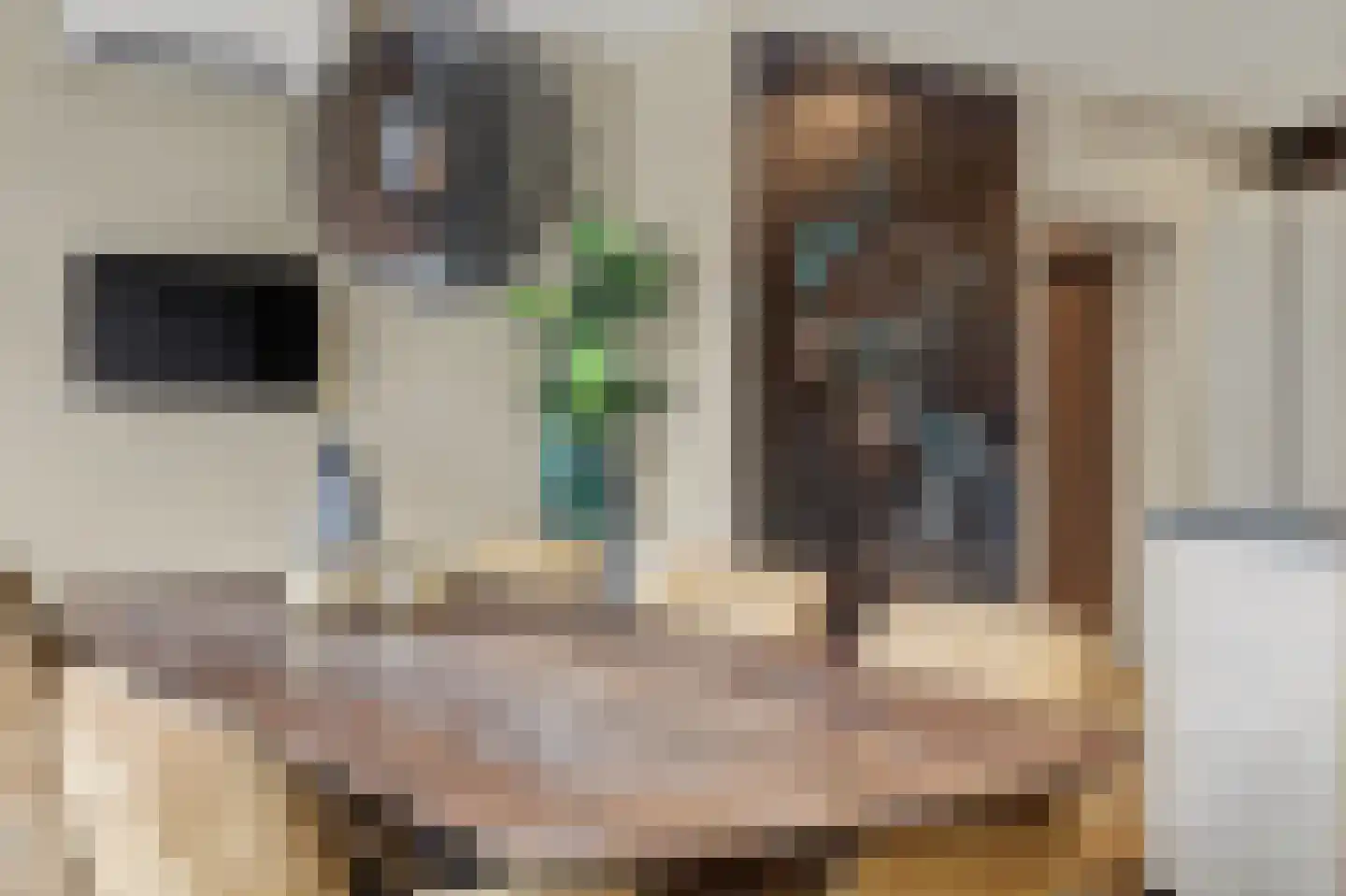 Groenstraat 15 A Valkenswaard thumbnail 22