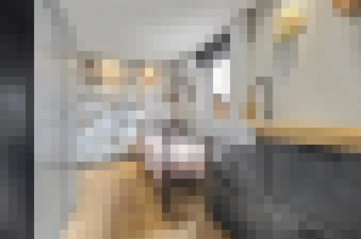 Groenstraat 15 A Valkenswaard thumbnail 36