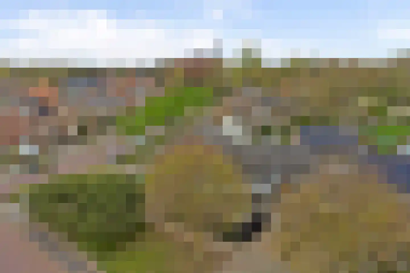 Groenstraat 15 A Valkenswaard thumbnail 48