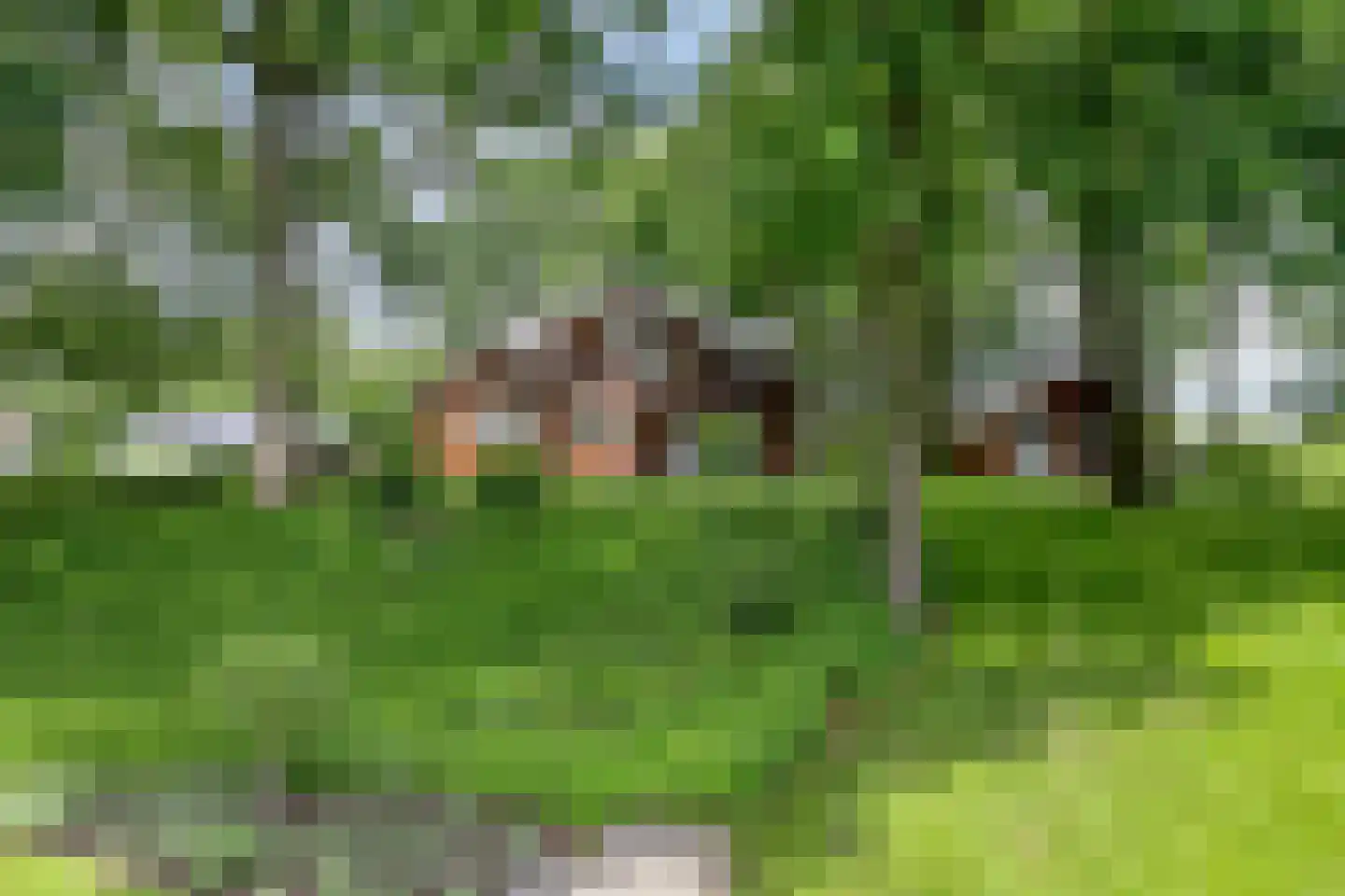 Groenstraat 15 Dongen thumbnail 10