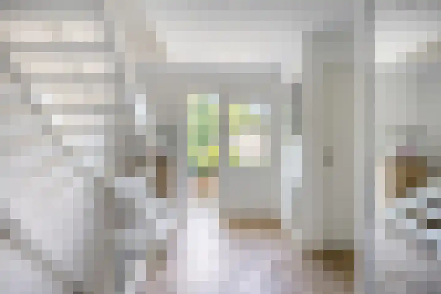 Groenstraat 15 Dongen thumbnail 12