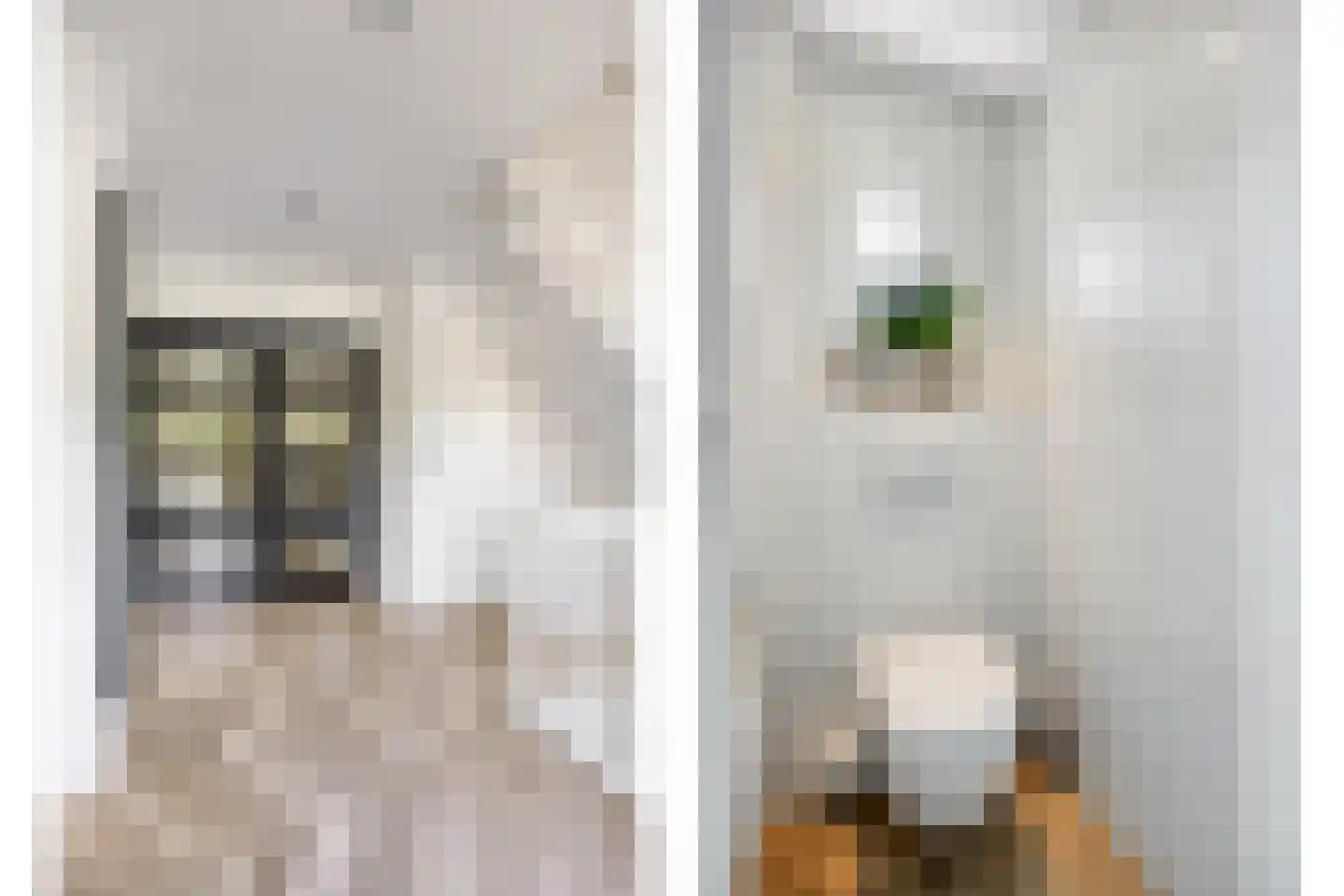 Groenstraat 15 Dongen thumbnail 13