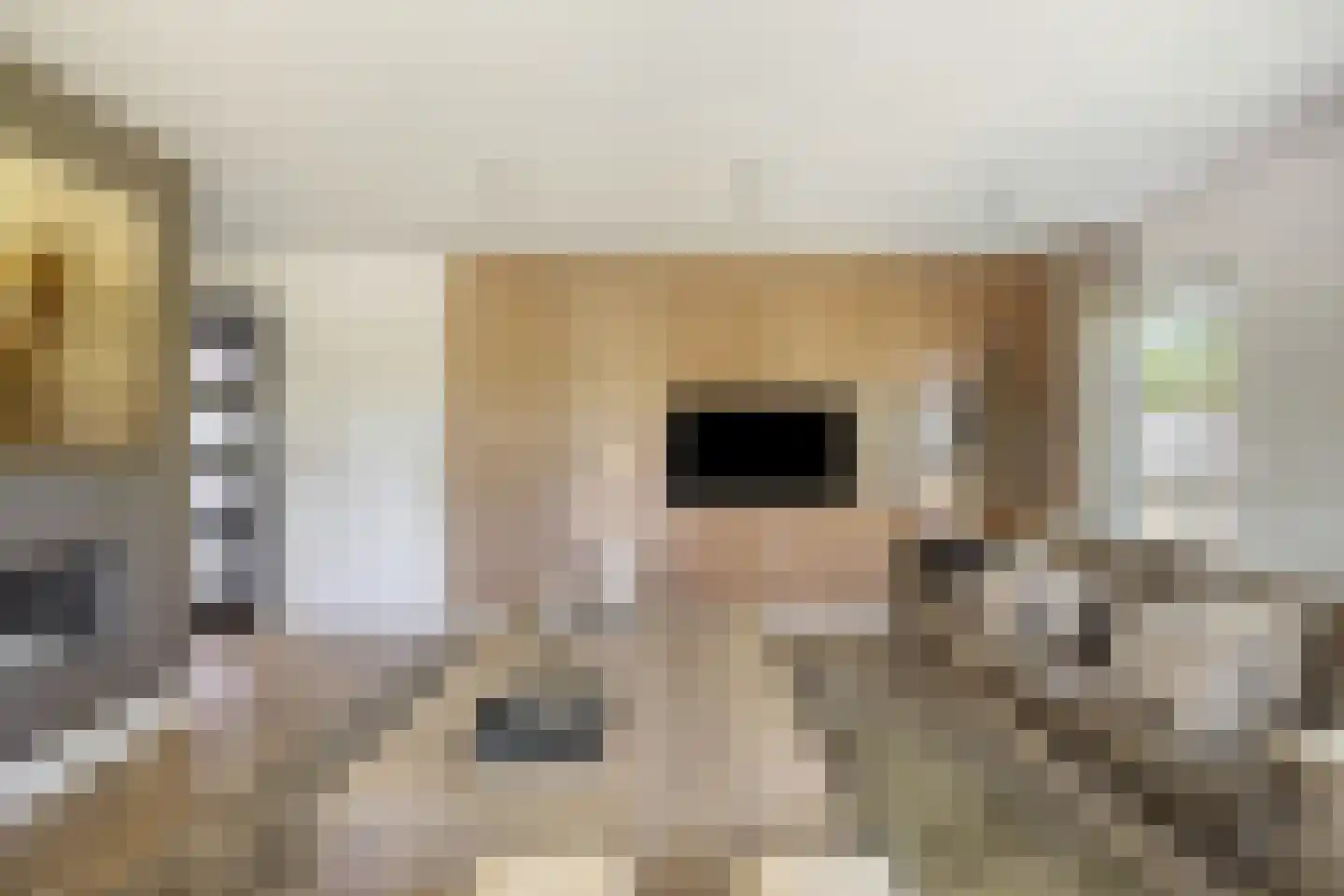 Groenstraat 15 Dongen thumbnail 17