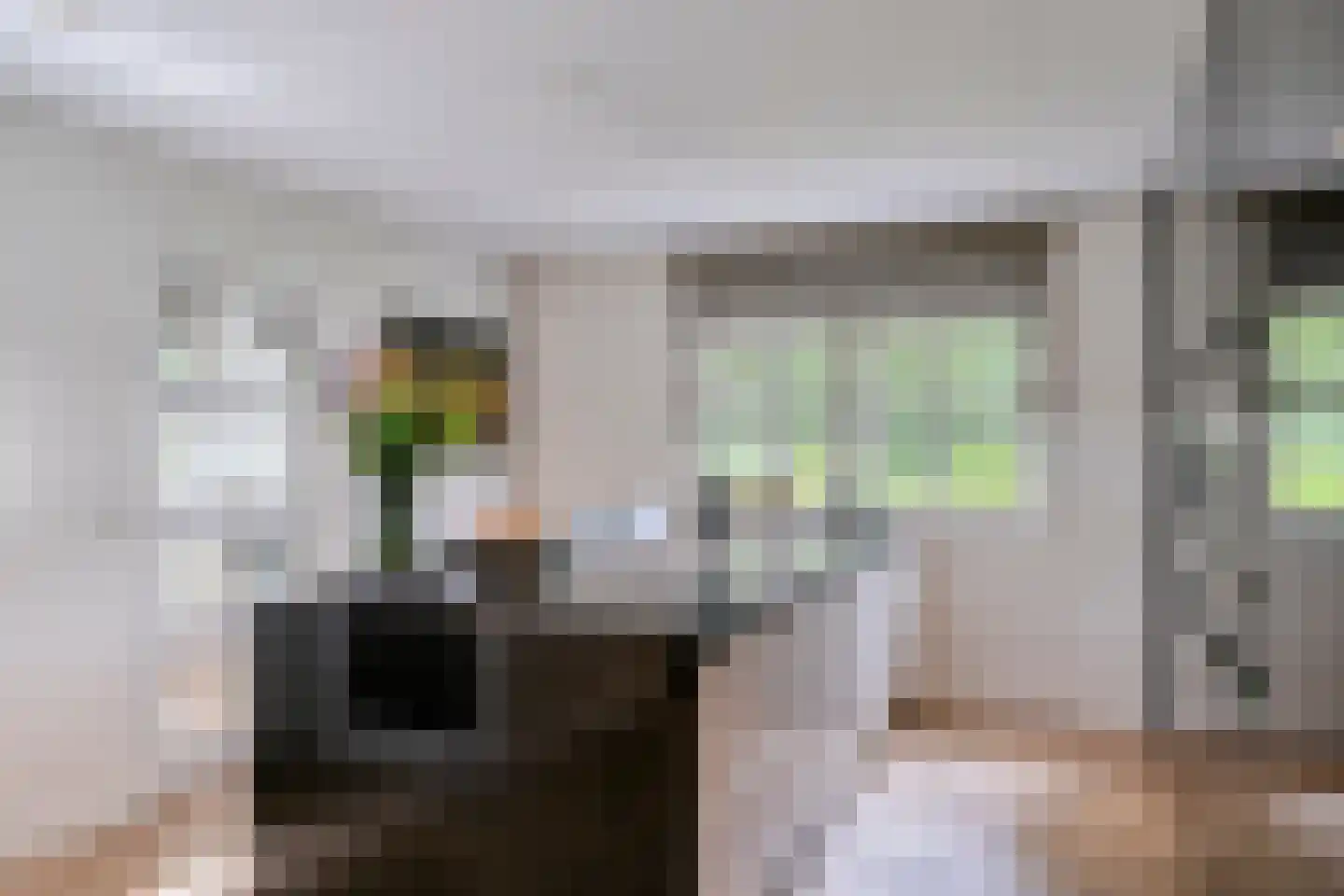Groenstraat 15 Dongen thumbnail 25