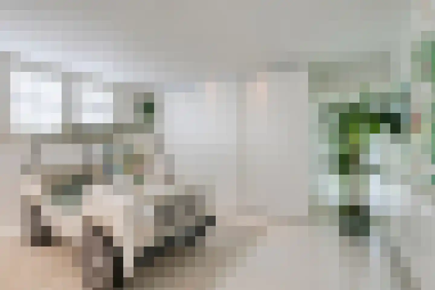 Groenstraat 15 Dongen thumbnail 41