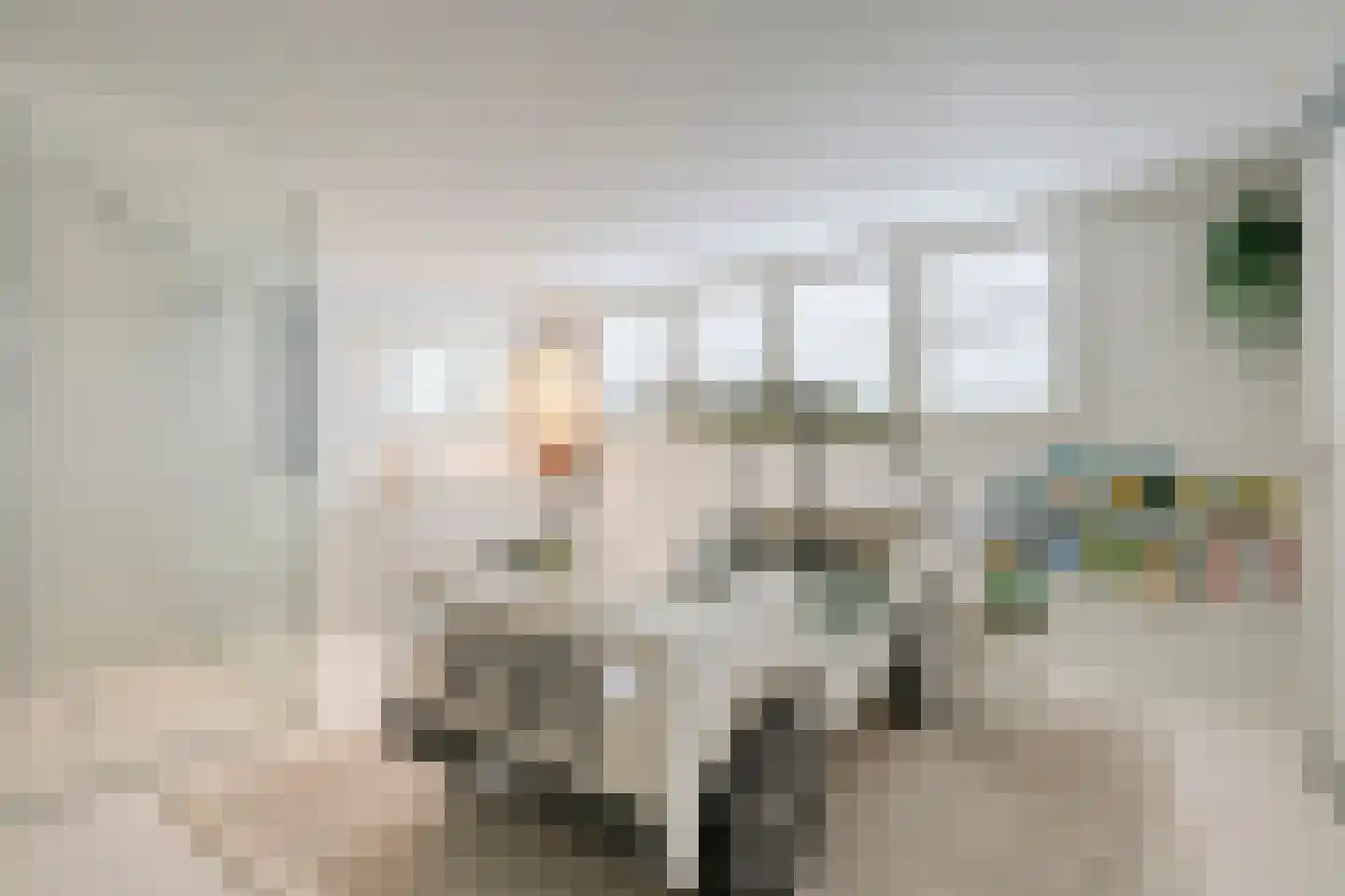 Groenstraat 15 Dongen thumbnail 42