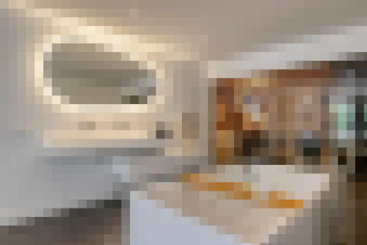 Groenstraat 15 Dongen thumbnail 50