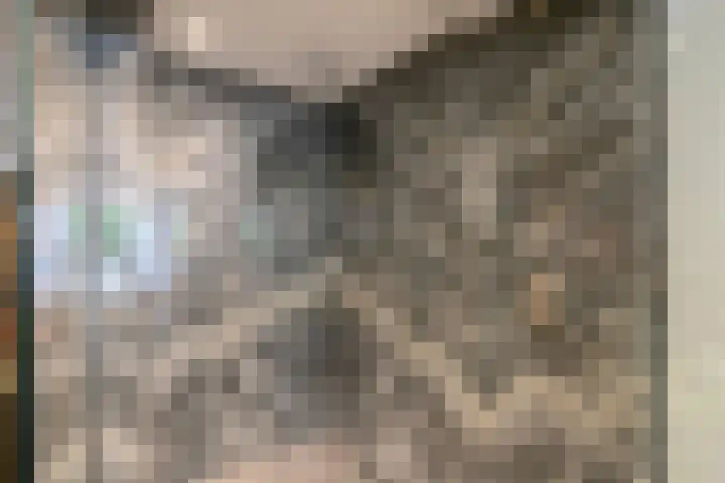 Groenstraat 15 Dongen thumbnail 52