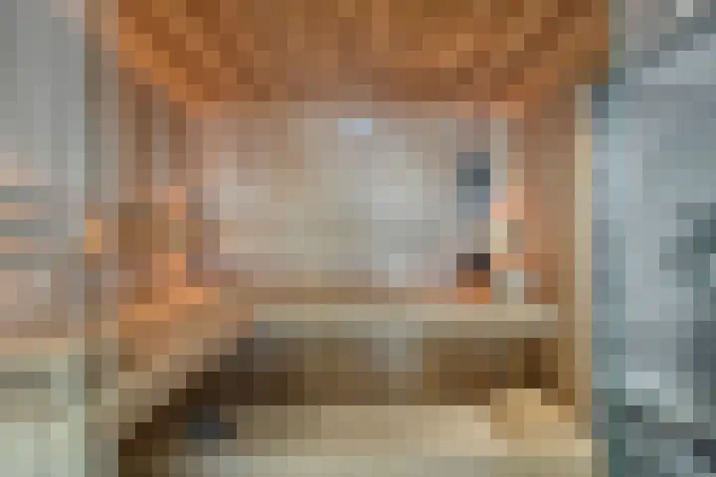 Groenstraat 15 Dongen thumbnail 54
