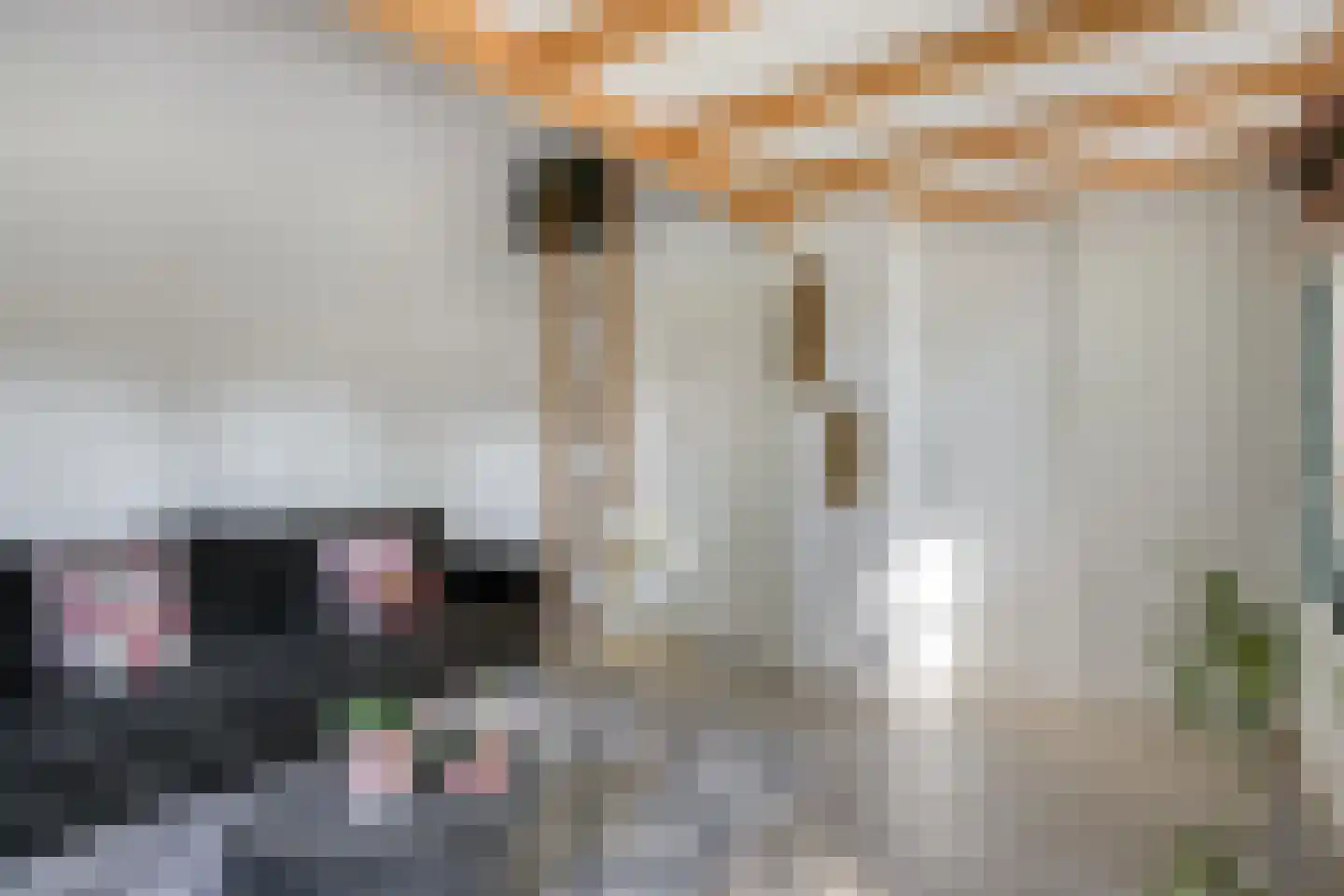 Groenstraat 15 Dongen thumbnail 59