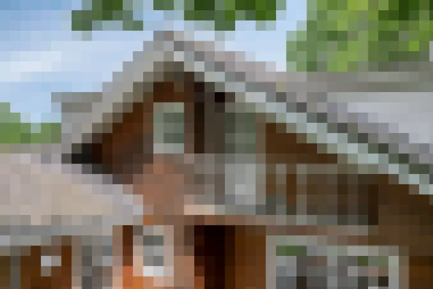 Groenstraat 15 Dongen thumbnail 61