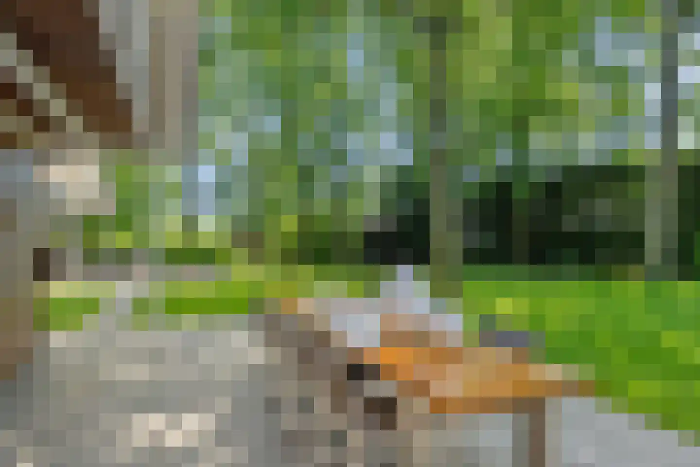 Groenstraat 15 Dongen thumbnail 63