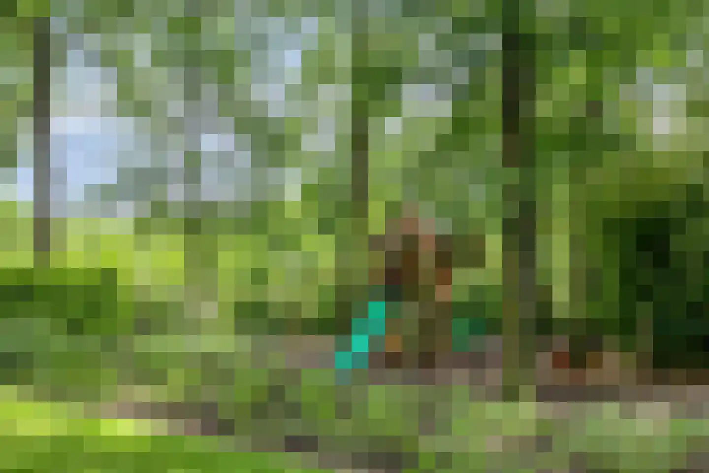 Groenstraat 15 Dongen thumbnail 73