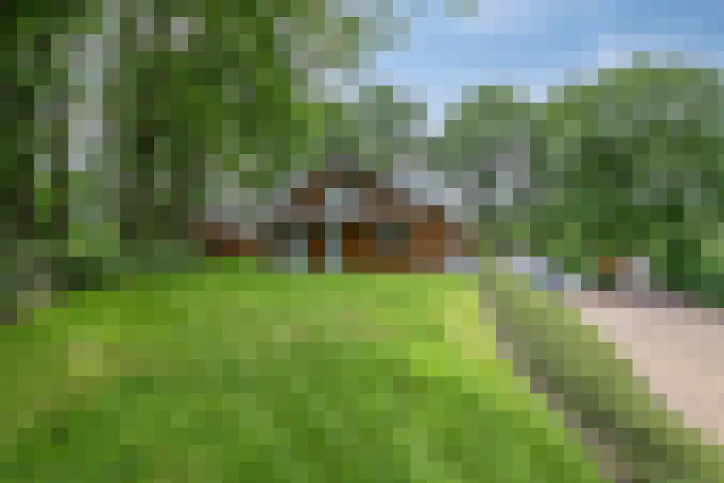 Groenstraat 15 Dongen thumbnail 75