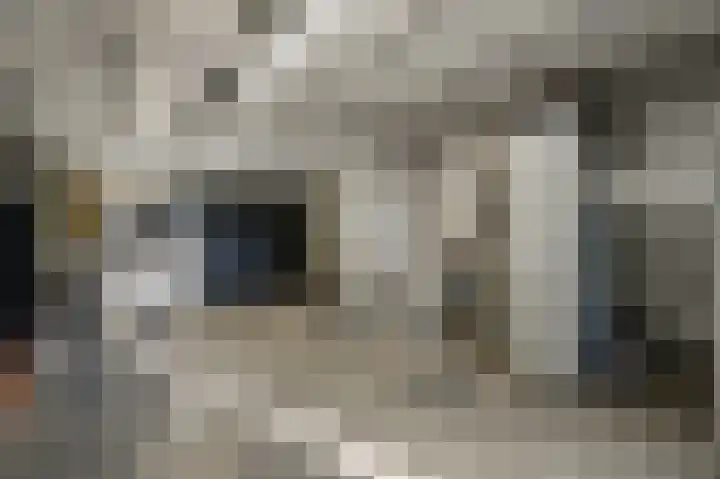 Groenstraat 15 Roggel thumbnail 17