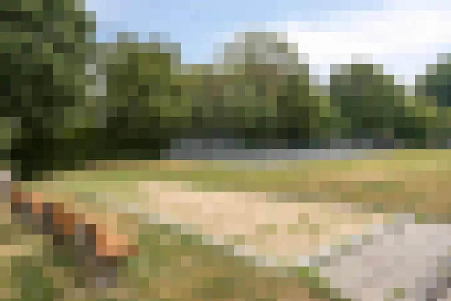 Groenstraat 150 Landgraaf thumbnail 23