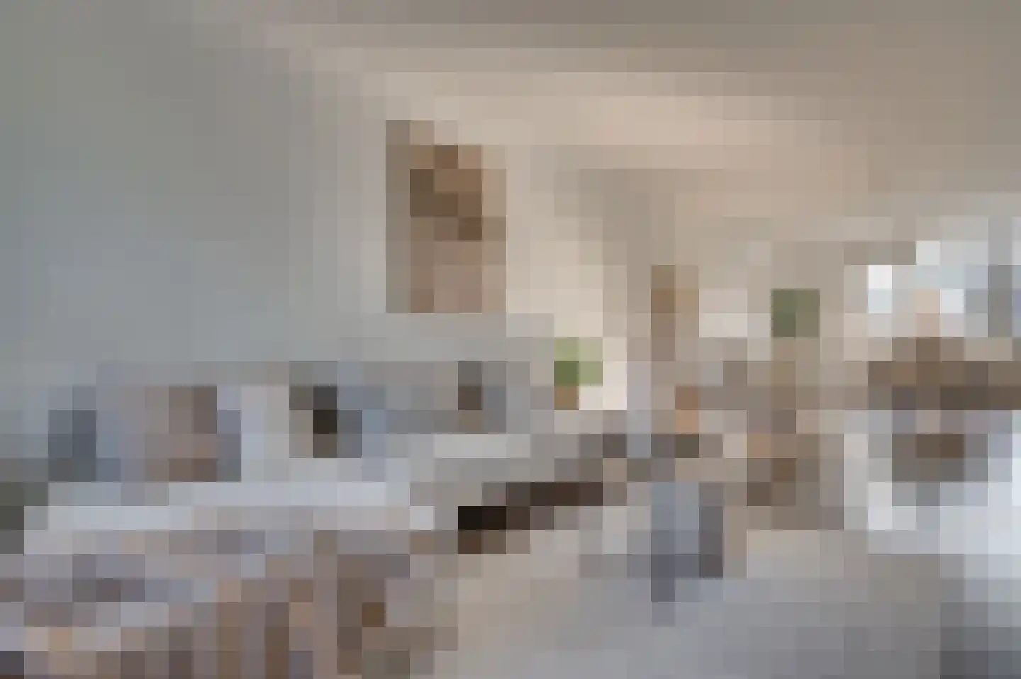 Groenstraat 154 Venlo thumbnail 16