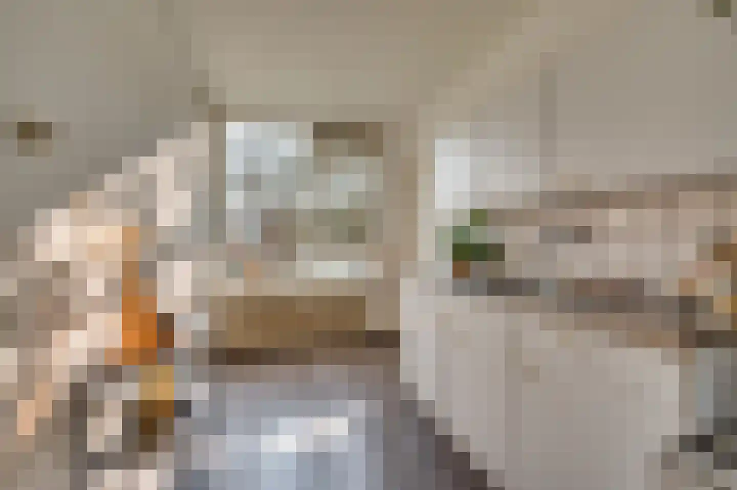 Groenstraat 154 Venlo thumbnail 24