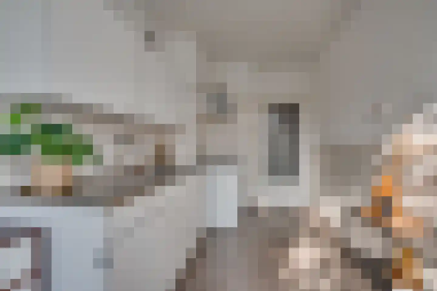 Groenstraat 154 Venlo thumbnail 26