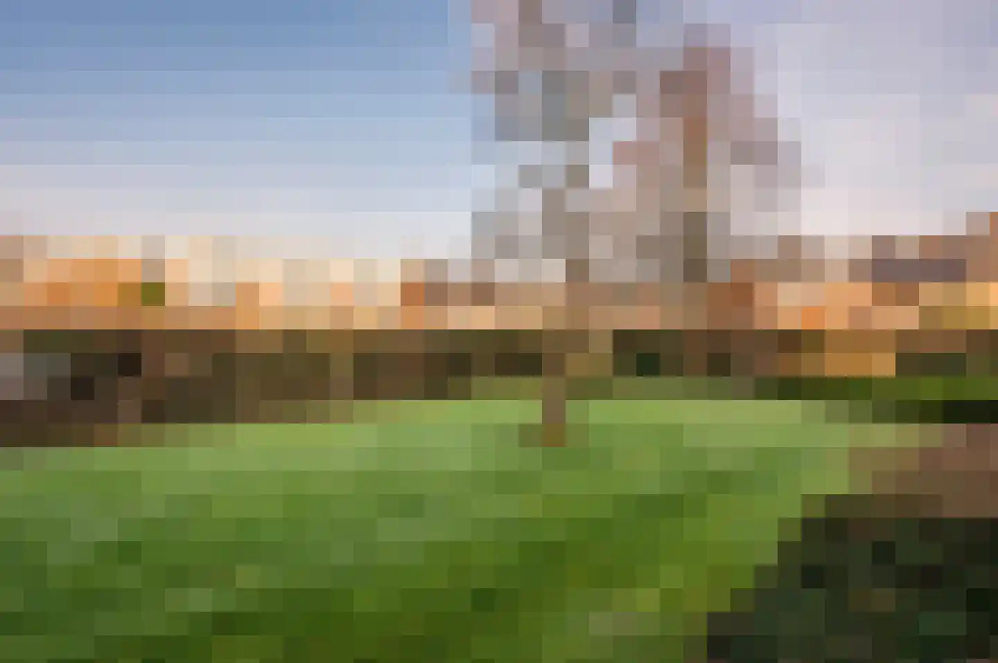 Groenstraat 154 Venlo thumbnail 30