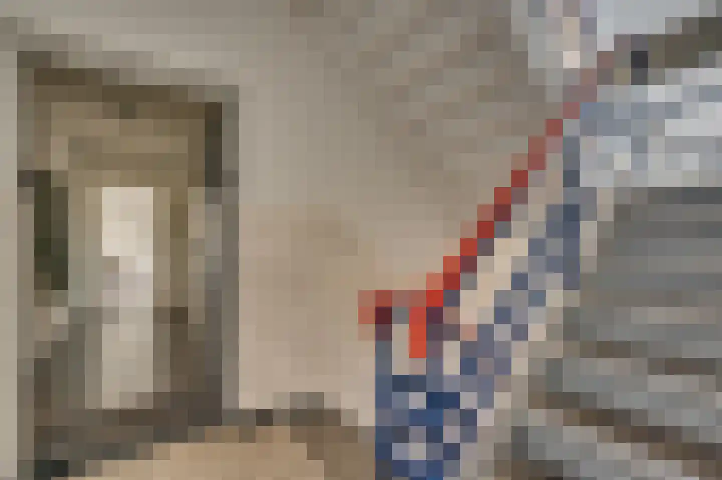 Groenstraat 154 Venlo thumbnail 33