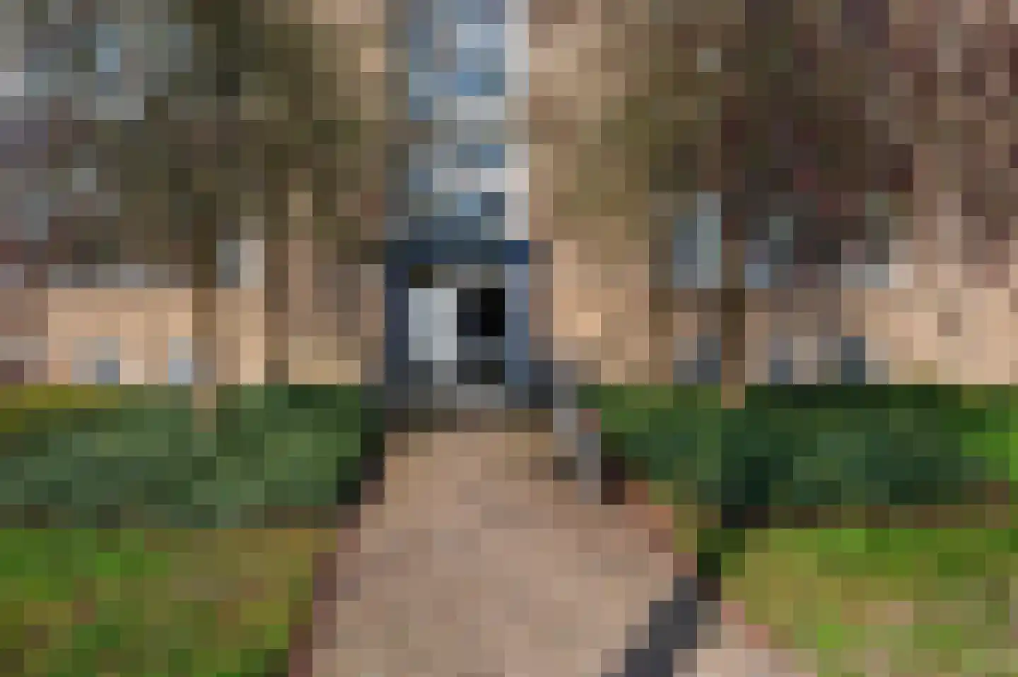 Groenstraat 154 Venlo thumbnail 36