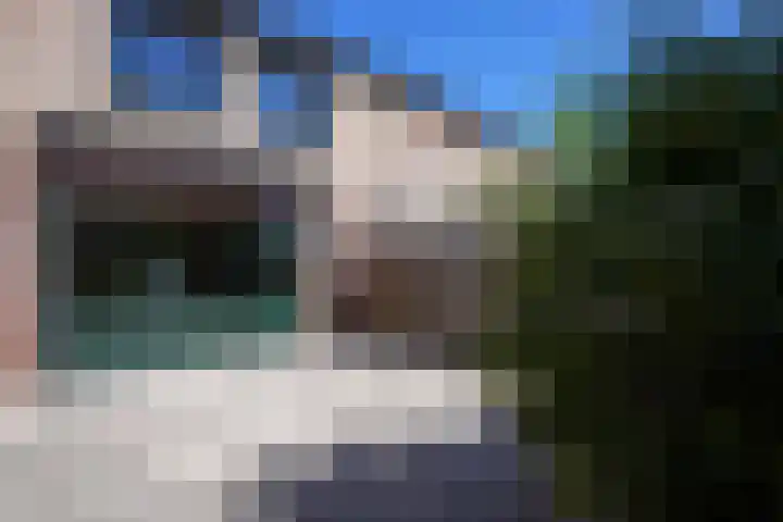 Groenstraat 156 Landgraaf thumbnail 18