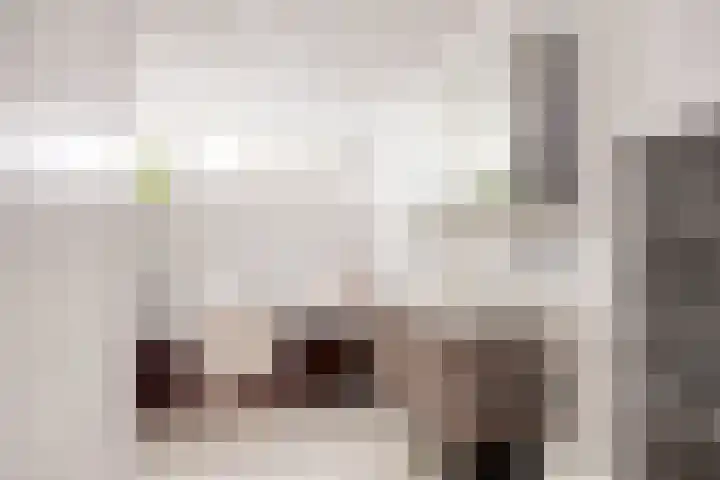 Groenstraat 156 Tilburg thumbnail 18