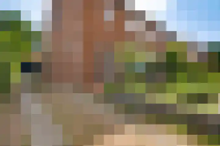 Groenstraat 17 Roggel thumbnail 4